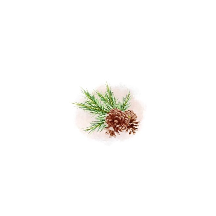 Reseschampo - Tjära